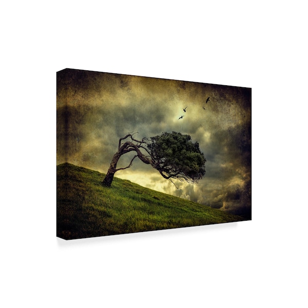 Peter Elgar 'Winds Of Change' Canvas Art,12x19